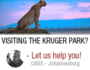 Johannesburg Region - CABS Car Hire
