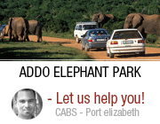Port Elizabeth Region - CABS Car Hire